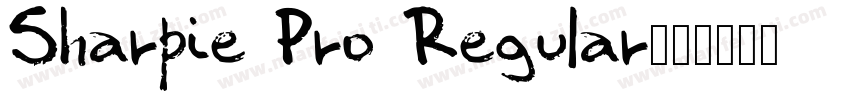 Sharpie Pro Regular字体转换